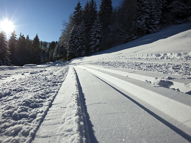 Tegernseer Impressionen - Copyright Gerlind Schiele Photography Tegernsee +49 (0) 170 - 908 85 85